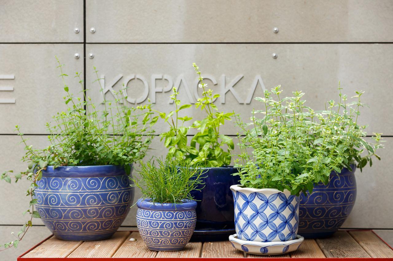 Hotel & Depandance Kopacka Ланшкроун Екстер'єр фото